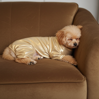 Gold Shiney Pajamas
